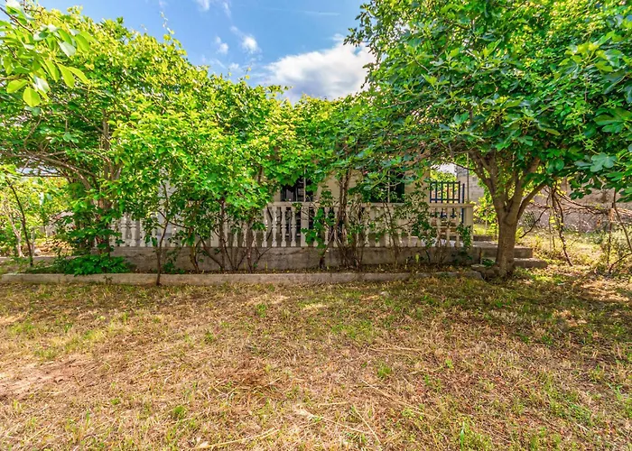 2 Bedroom Stunning In * Pakoštane
